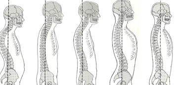 Third Feature Image